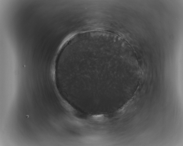 X0000113850054200909241256