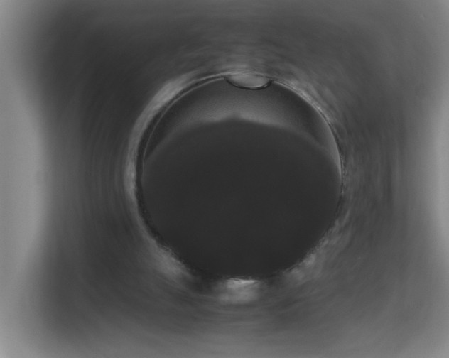 X0000113850055200909241256