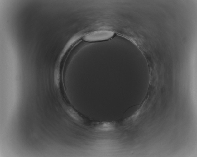 X0000113850056200909241256