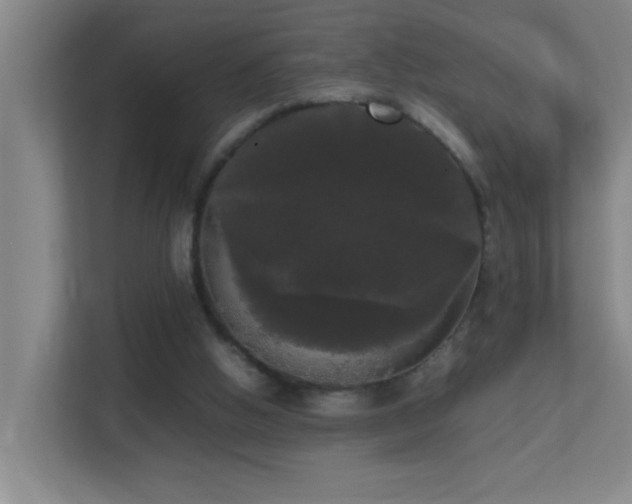 X0000113850058200909241256