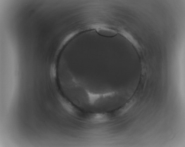 X0000113850060200909241256