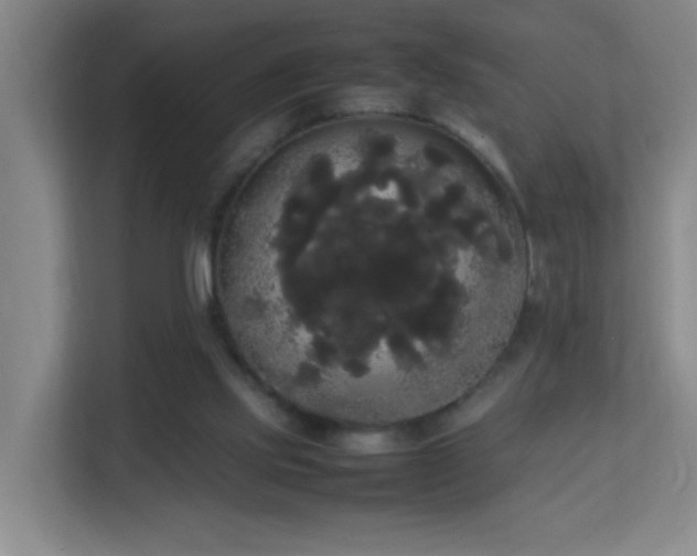 X0000113850061200909241256