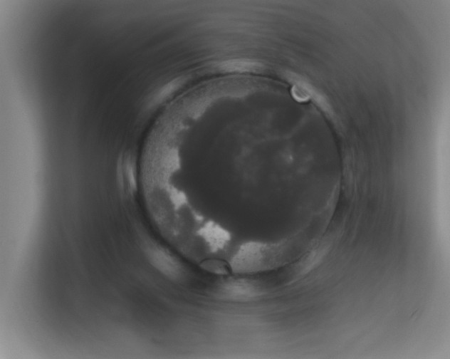 X0000113850062200909241256