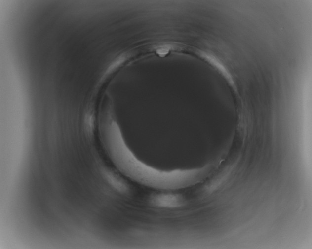 X0000113850063200909241256