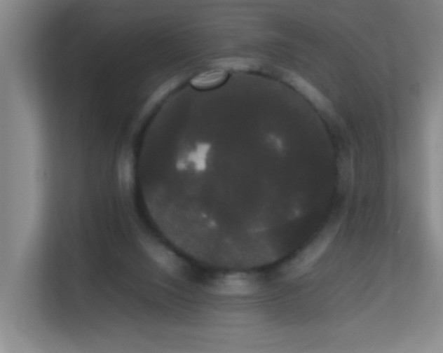 X0000113850064200909241256