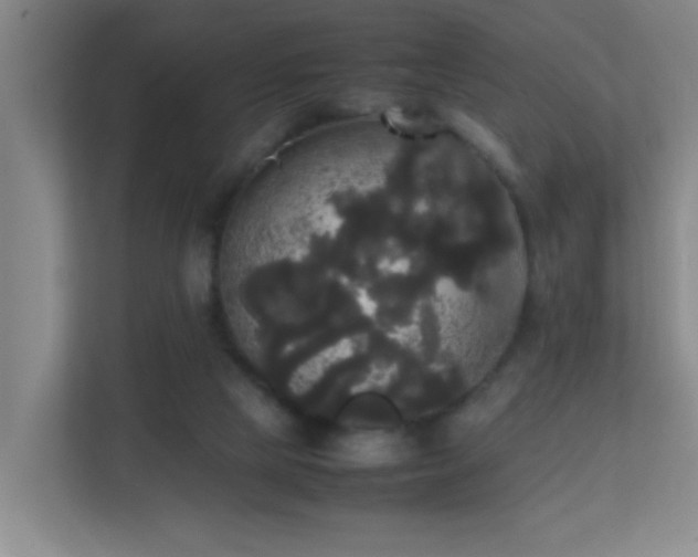 X0000113850065200909241256