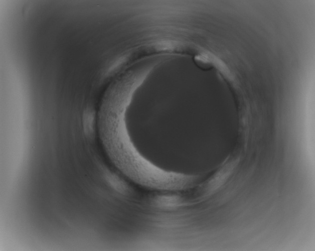 X0000113850066200909241256