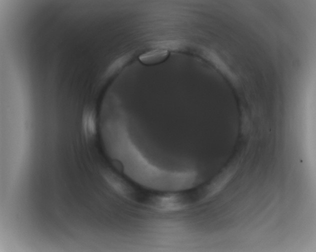 X0000113850068200909241256