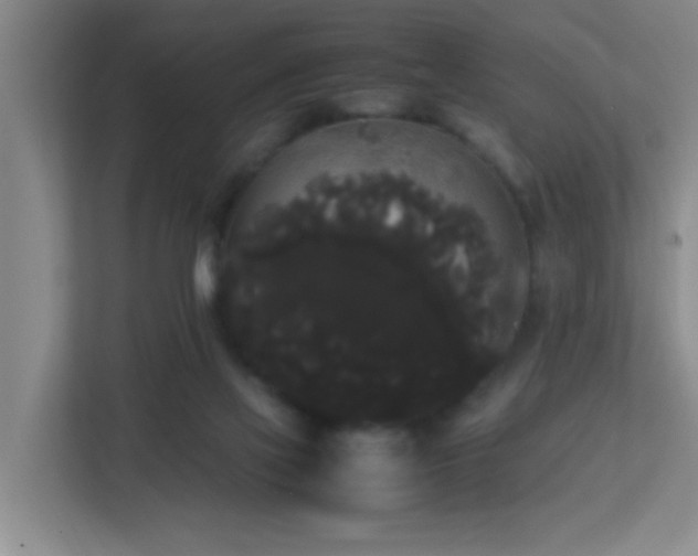 X0000113850069200909241256