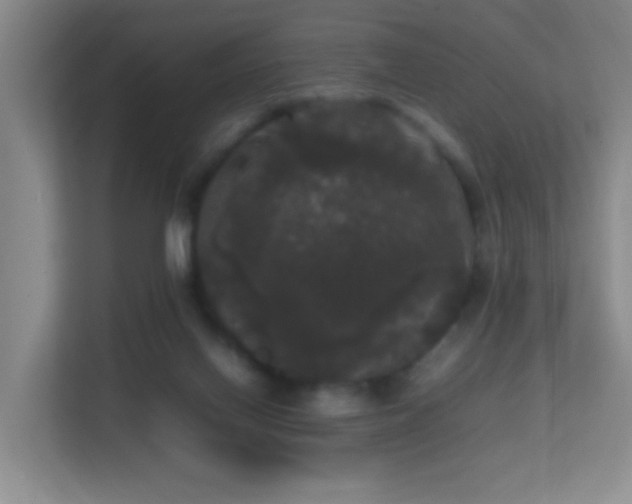 X0000113850070200909241256