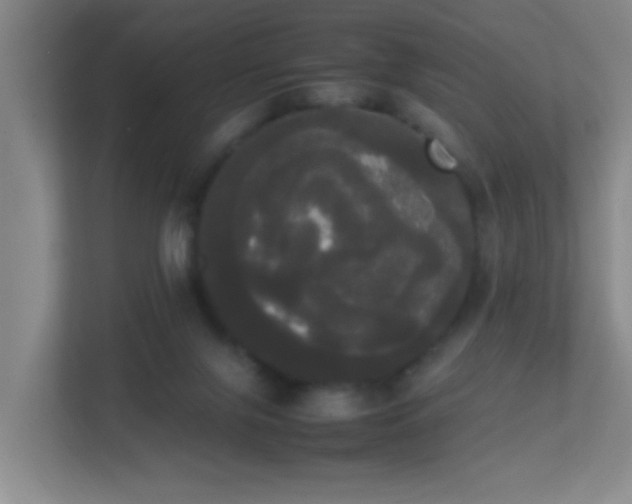 X0000113850071200909241256