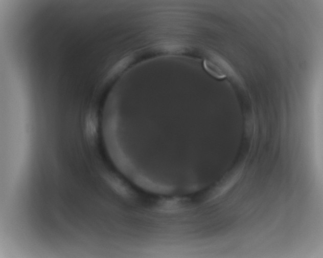 X0000113850072200909241256