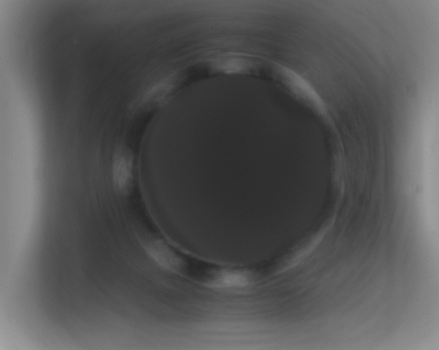 X0000113850073200909241256