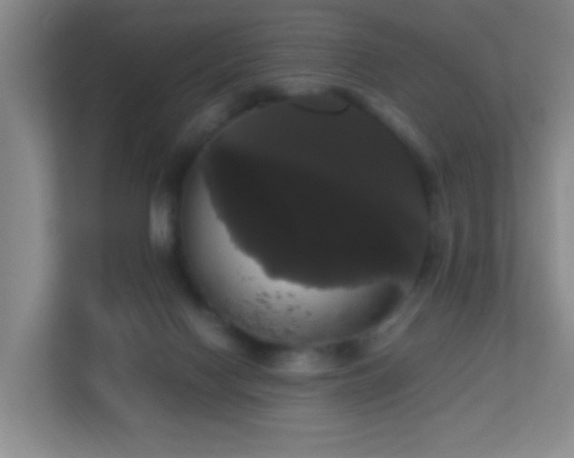 X0000113850074200909241256