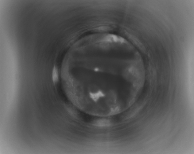 X0000113850075200909241256