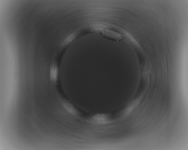 X0000113850076200909241256