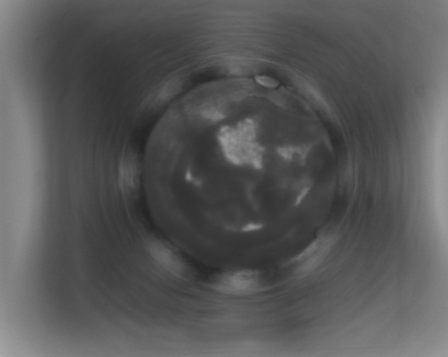 X0000113850078200909241256