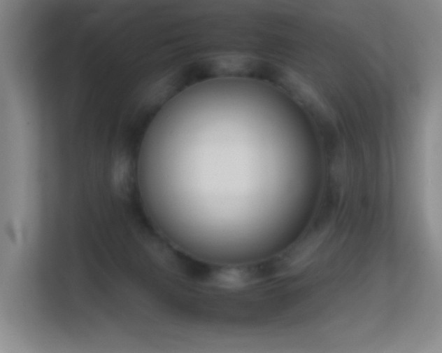 X0000113850079200909241256