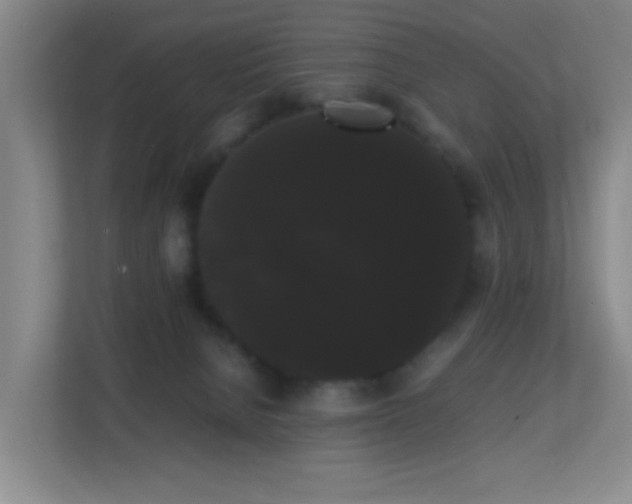 X0000113850080200909241256