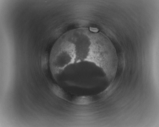 X0000113850082200909241256