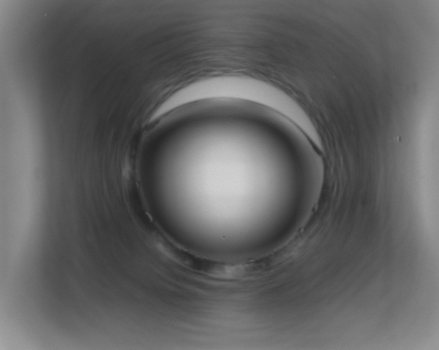 X0000113850084200909241256