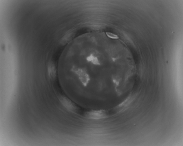 X0000113850086200909241256