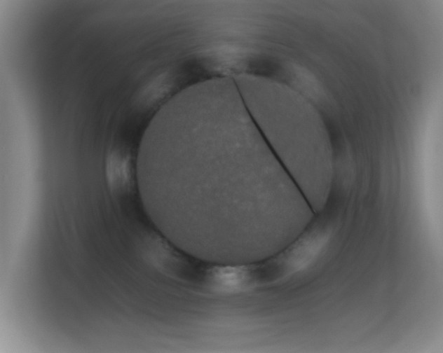 X0000113850088200909241256