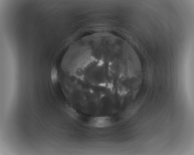 X0000113850089200909241256