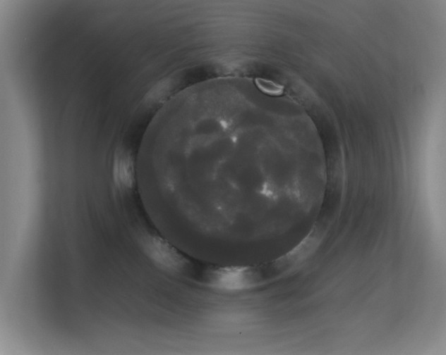 X0000113850090200909241256