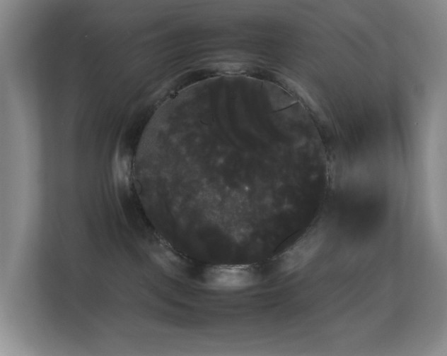 X0000113850093200909241256