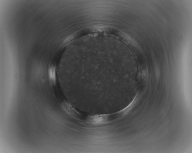 X0000113850094200909241256