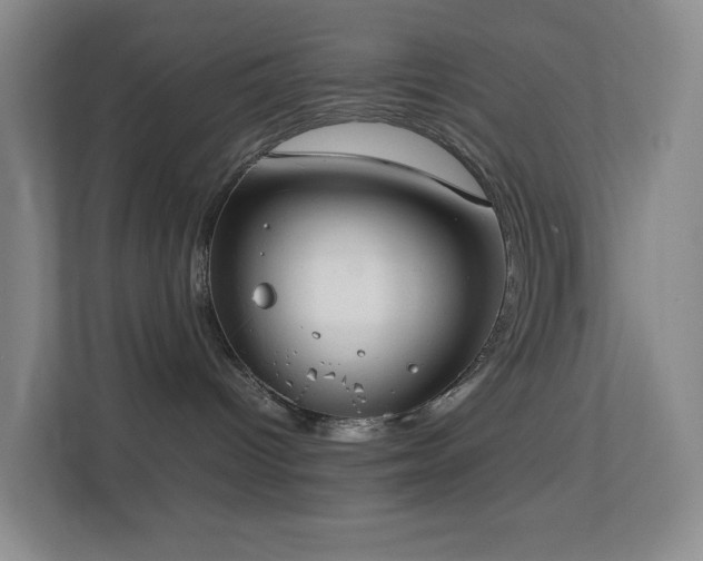 X0000113850096200909241256