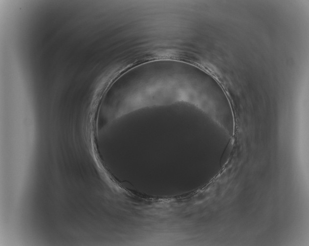 X0000113850097200909241256