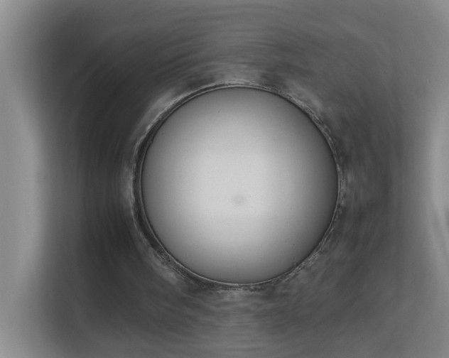 X0000113850098200909241256