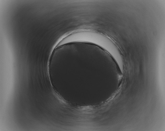 X0000113850100200909241256