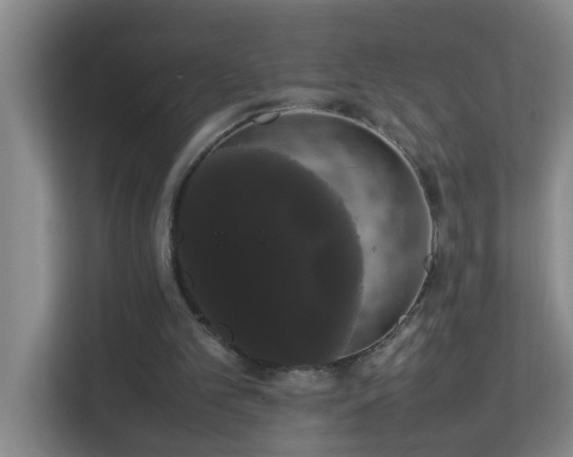 X0000113850101200909241256