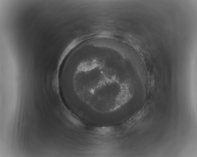 X0000113850102200909241255