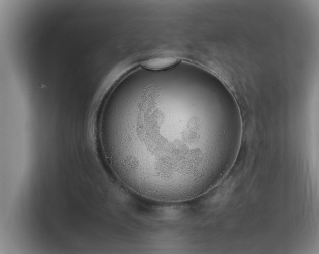 X0000113850103200909241255