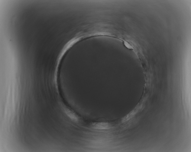 X0000113850104200909241255