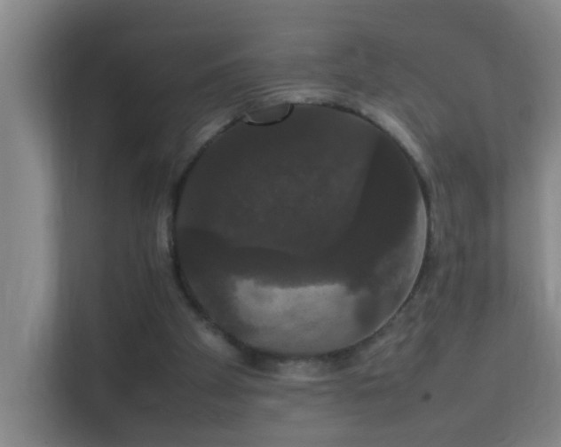 X0000113850105200909241255