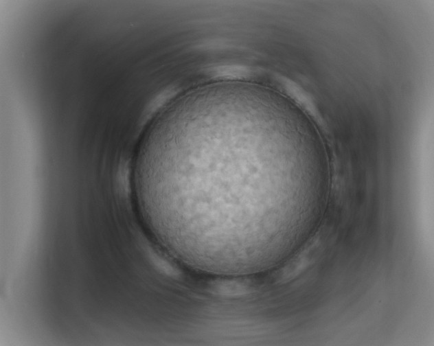 X0000113850106200909241255