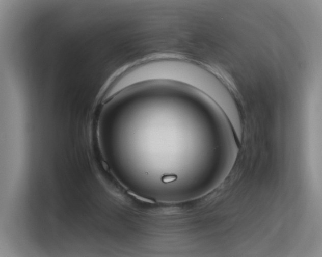 X0000113850108200909241255