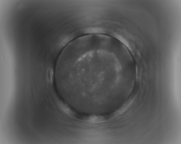 X0000113850109200909241255