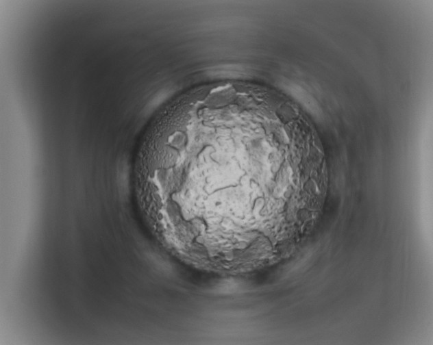 X0000113850111200909241255