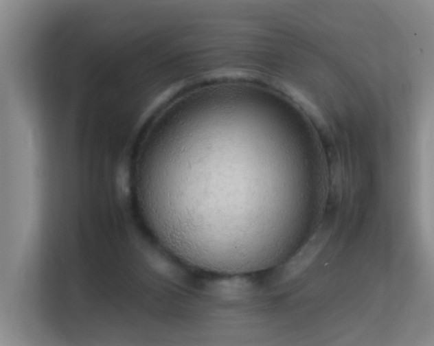 X0000113850112200909241255