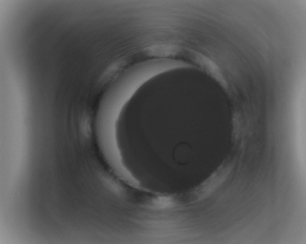 X0000113850114200909241255