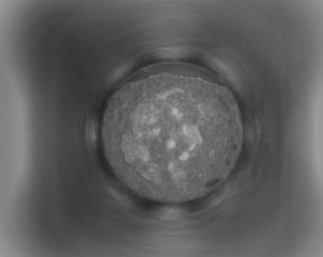 X0000113850115200909241255