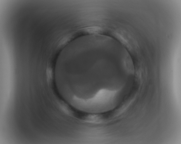 X0000113850117200909241255