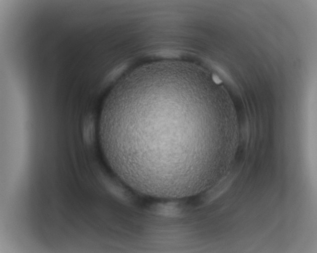 X0000113850120200909241255