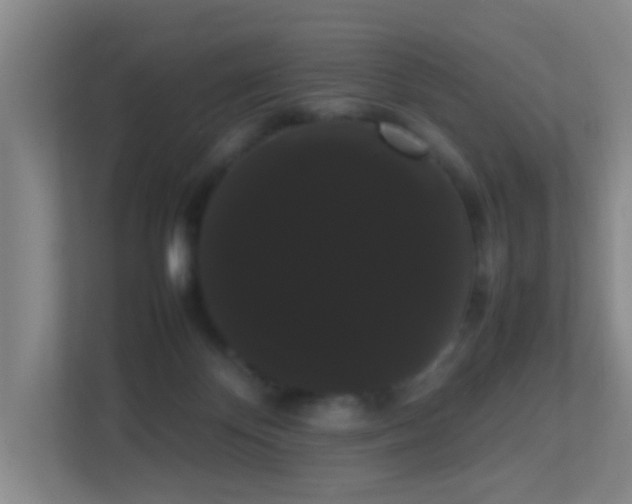 X0000113850124200909241255